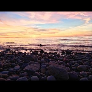 Meet your Posher, Tara